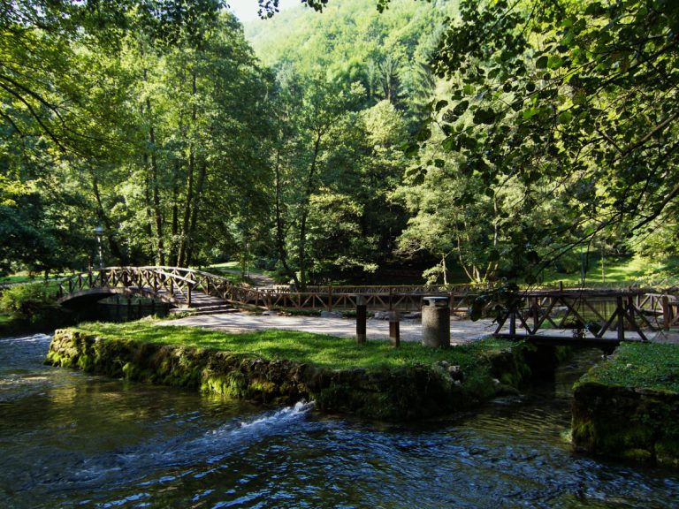 ИЗВОРИТЕ НА БОСНА